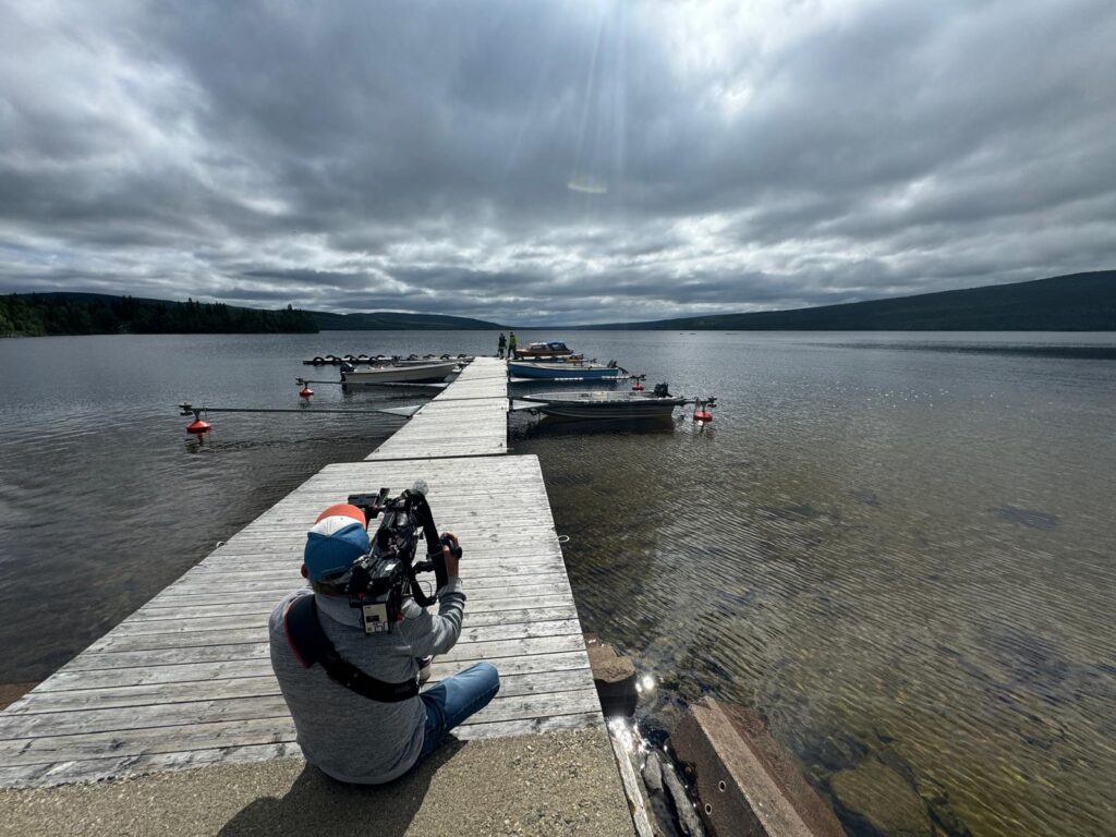 Omslagafbeelding aanbieding